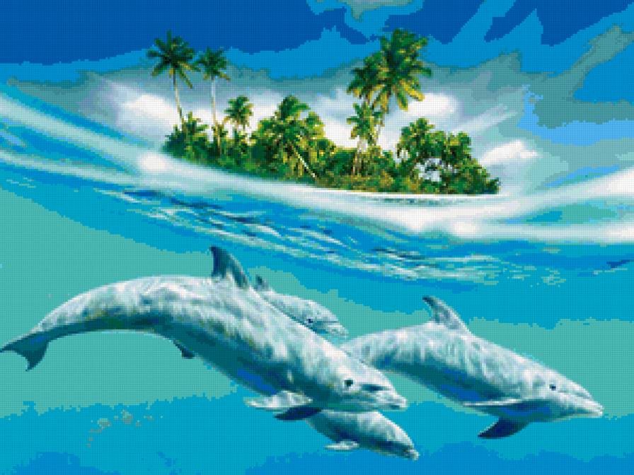 Дельфины - дельфины - предпросмотр