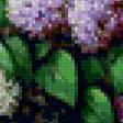 Предпросмотр схемы вышивки «Натюрморт, сирень» (№91884)