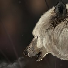 Схема вышивки «Волк»