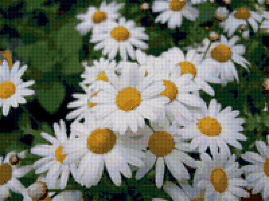 HJVFIRB=))))) - предпросмотр