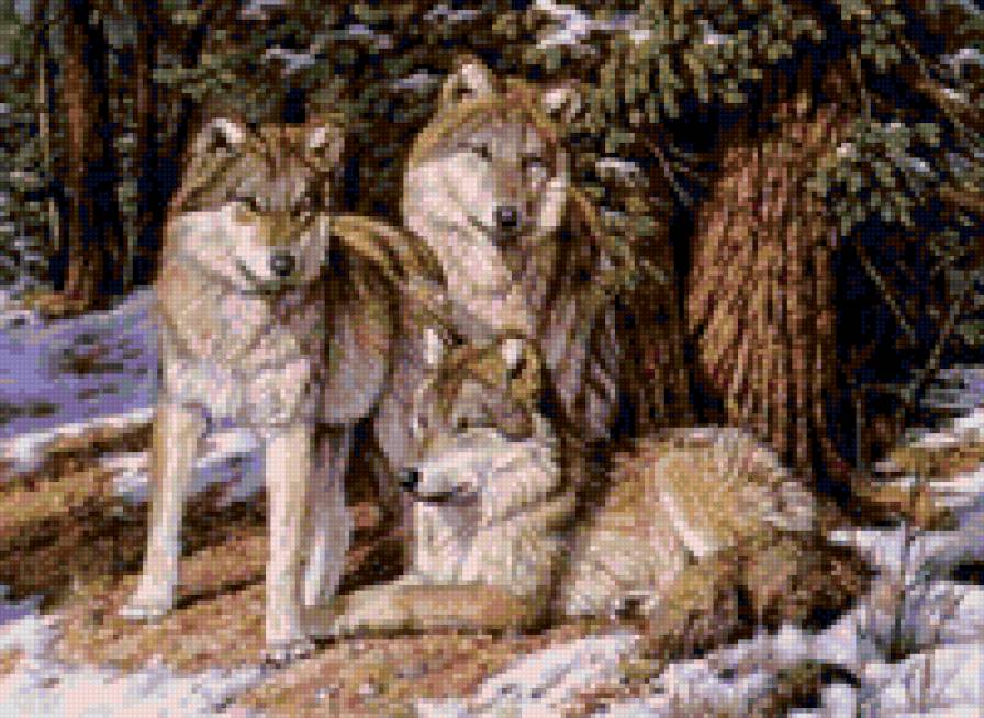 0026 - животные, картина, красота, волки, природа - предпросмотр