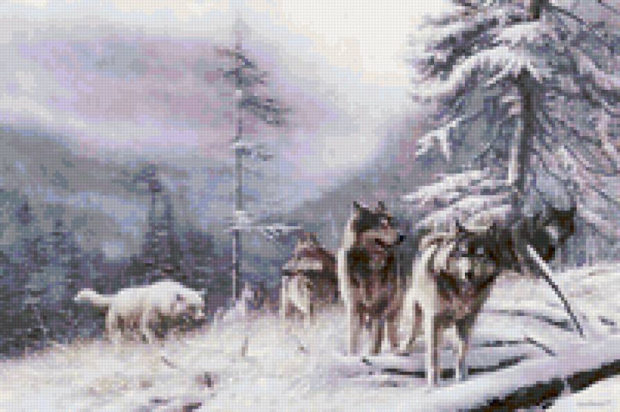 0028 - зима, животные, красота, природа, волки, картина - предпросмотр