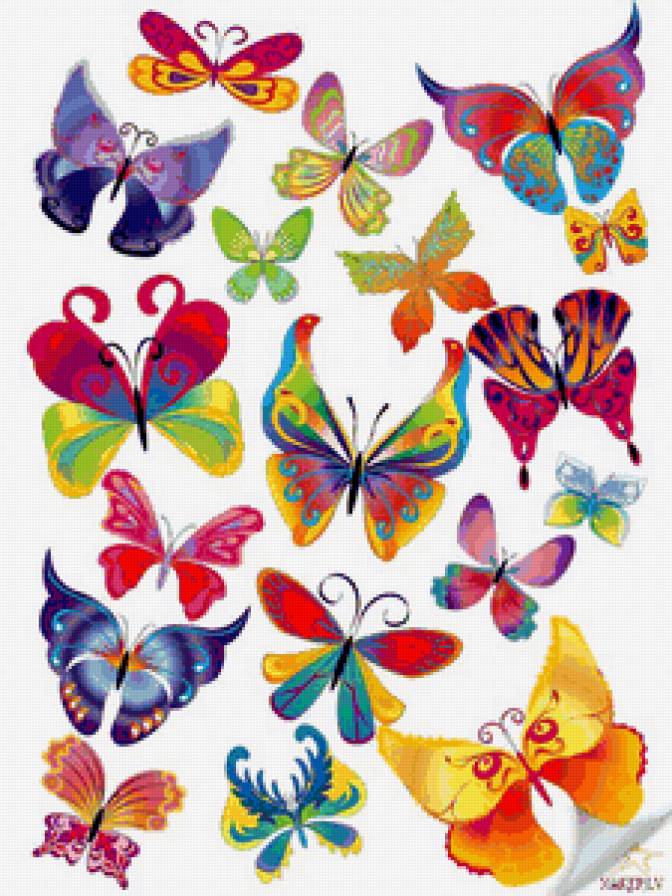 Бабочки - полет, для детей, бабочки, насекомые - предпросмотр