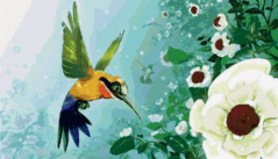 колибри - цветы, птицы, колибри - предпросмотр