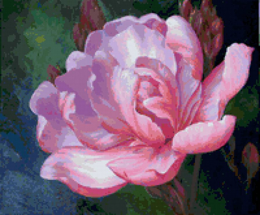 цветок - цветок, роза - предпросмотр