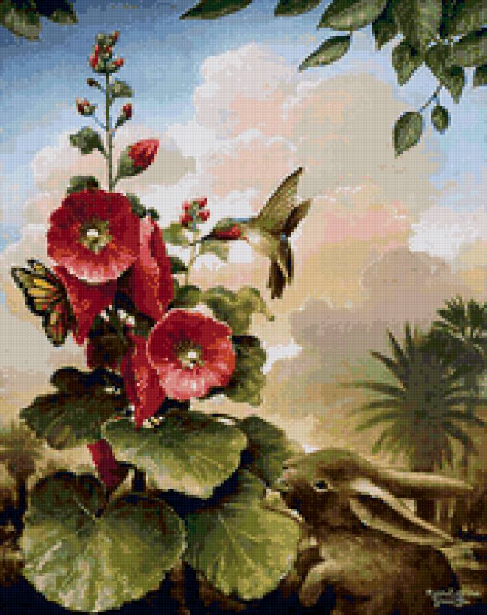 колибри - колибри, цветы, птицы - предпросмотр