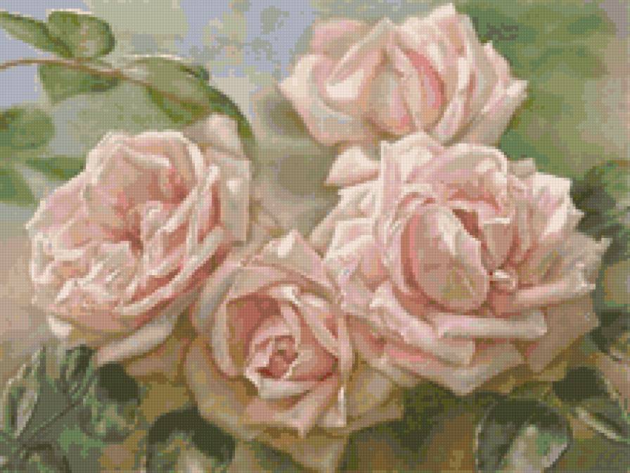 розовые розы - цветок, роза - предпросмотр