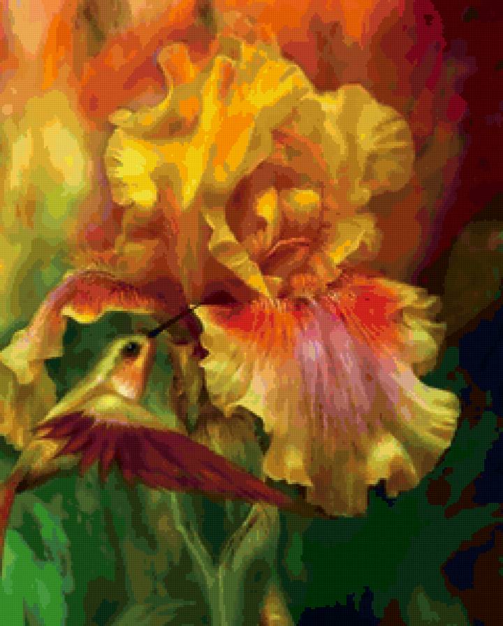 ирисы - предпросмотр