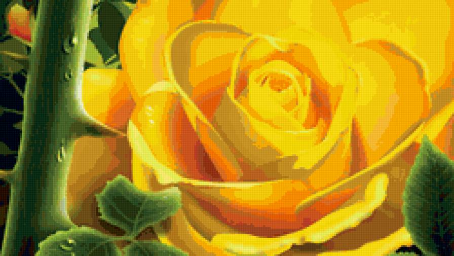 Роза - открытка, цветы - предпросмотр