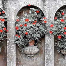 Схема вышивки «Цветы»