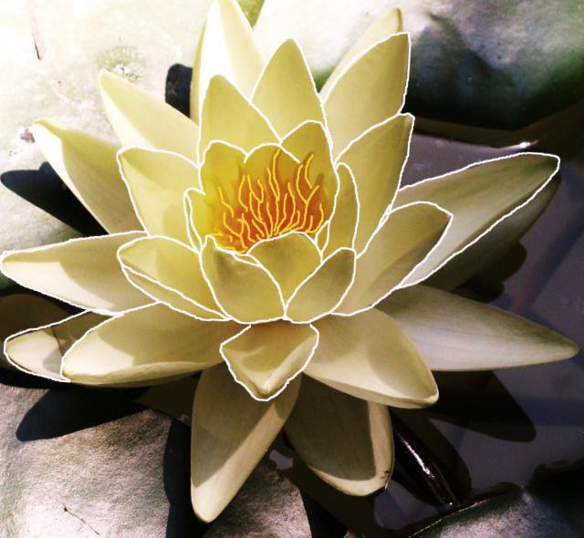 Лотос - подушка, цветы - оригинал