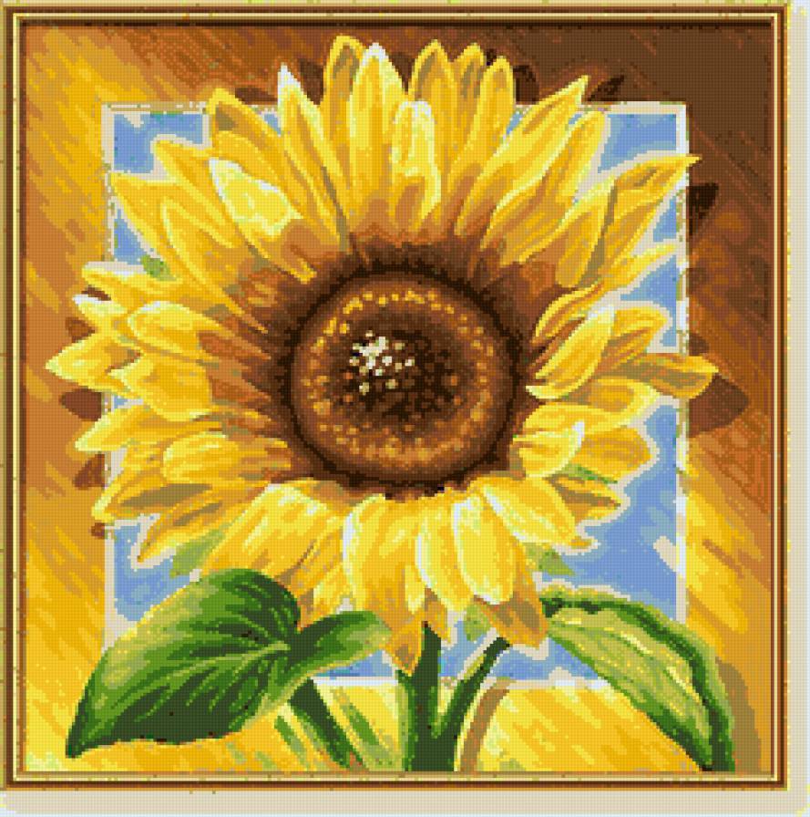 Подсолнух. - цветы - предпросмотр