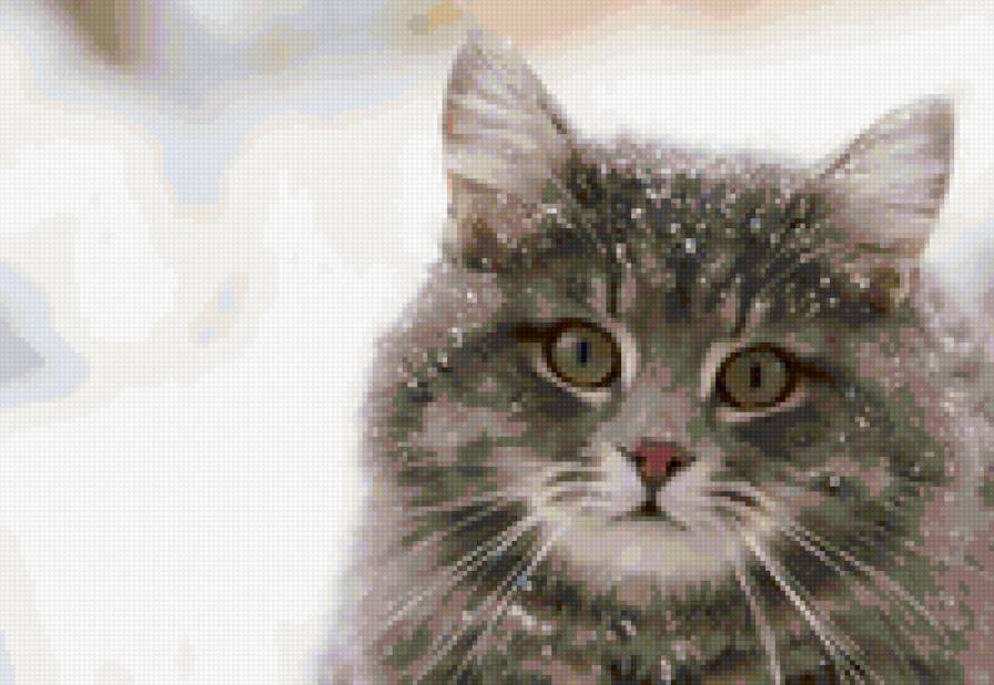 Кот - кошка, кот, животные - предпросмотр