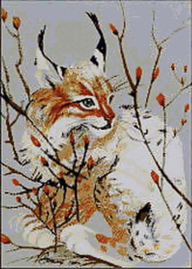 Серия "Большие кошки" - животные, кошки, рыси - предпросмотр