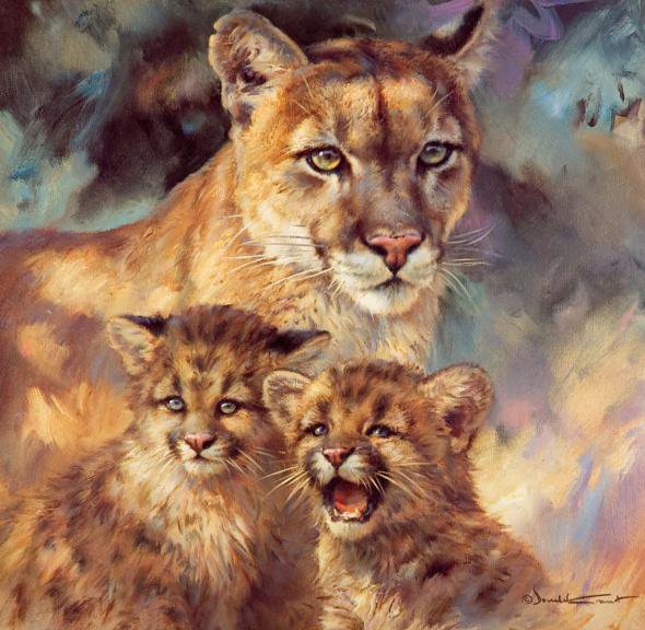 Серия "Большие кошки" - кошки, животные, львы - оригинал