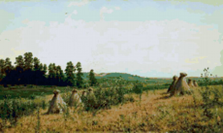 Сжатое поле - лето, шишкин, картина - предпросмотр