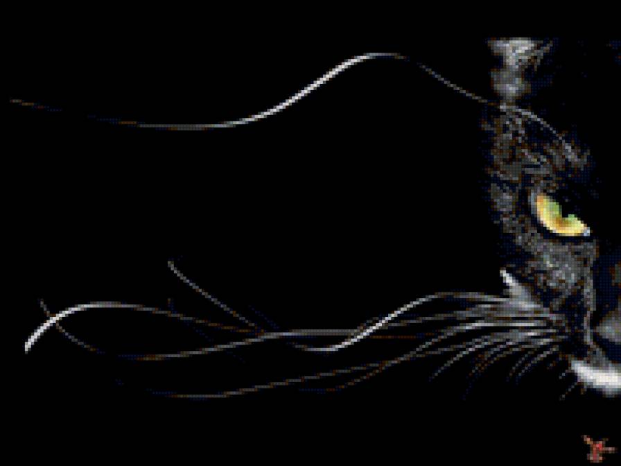 Кошка - предпросмотр