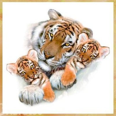 Тигры - живопись, животные, тигры - оригинал