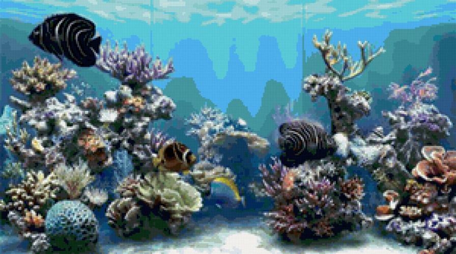 риф - кораллы, море, рыбки, вода, рифы - предпросмотр