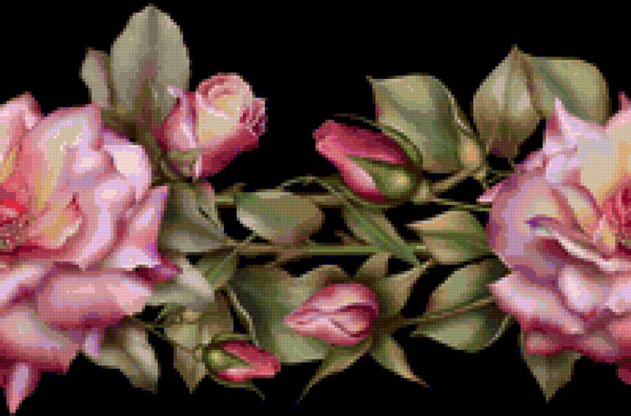 Бордюр - цветы, розы, скатерть - предпросмотр