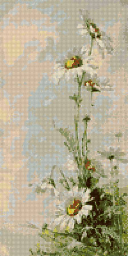 Ромашка - ромашка, цветы - предпросмотр