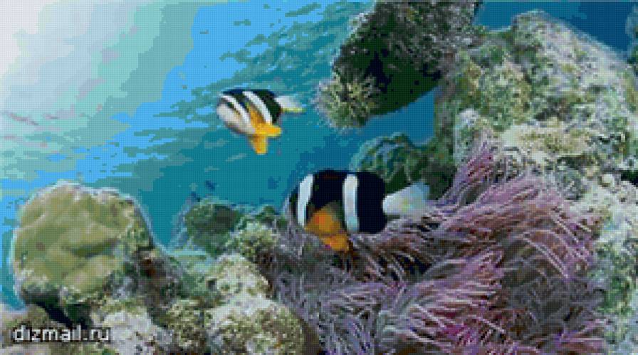 риф - море, риф, вода, кораллы, рыбки - предпросмотр