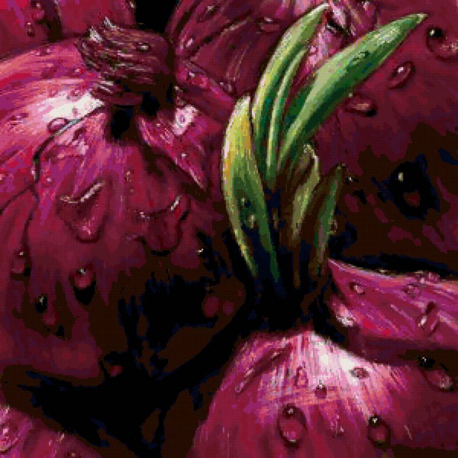 Красный лук - живопись, альмах - предпросмотр