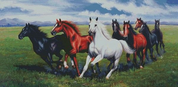 лошади - животные, лошади - оригинал