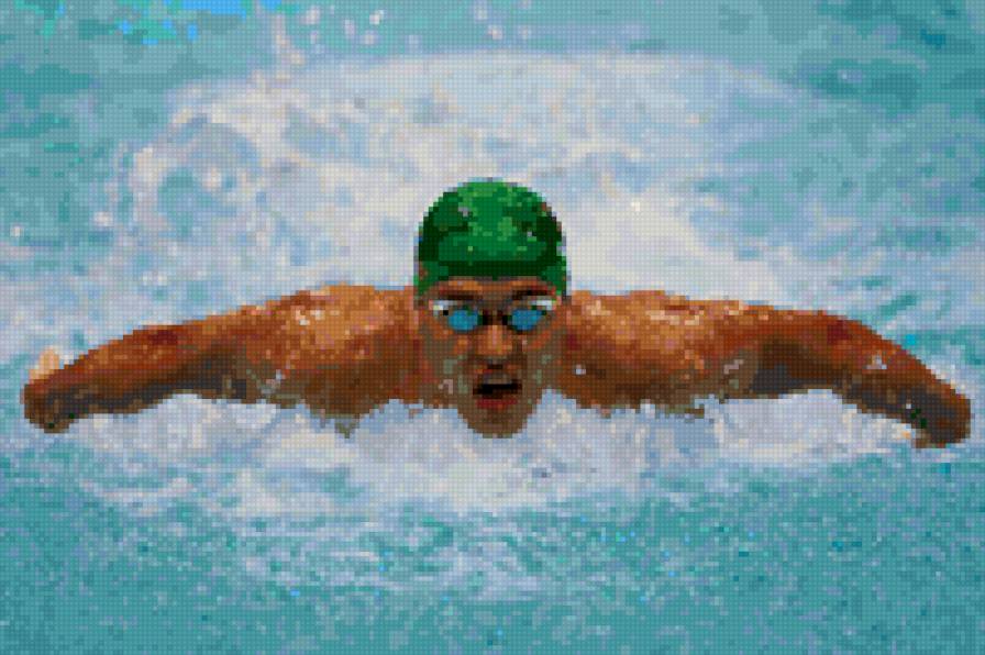 Chad le Clos - плавание, пловец - предпросмотр