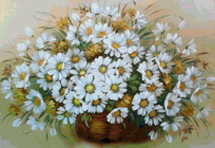 ромашки - предпросмотр