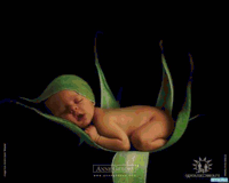 сон - предпросмотр