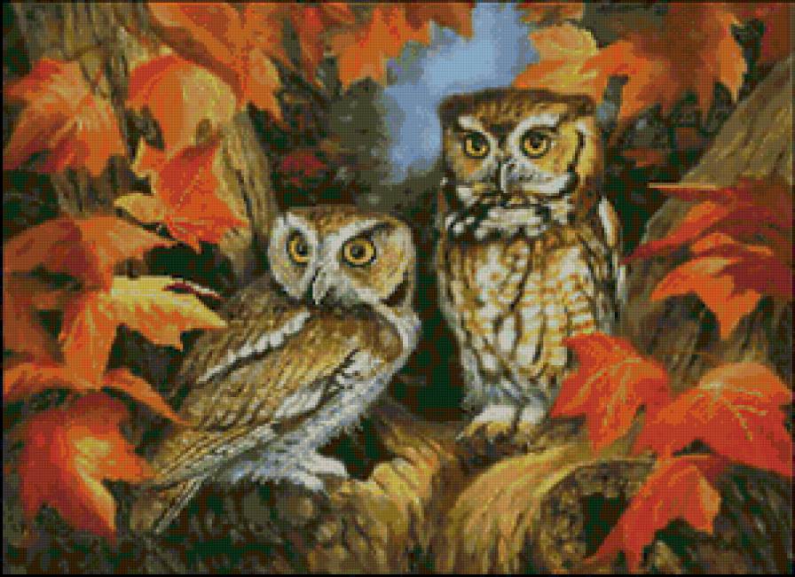 Серия "Птицы. Совы" - совы, пейзаж, осень, филины, птицы - предпросмотр