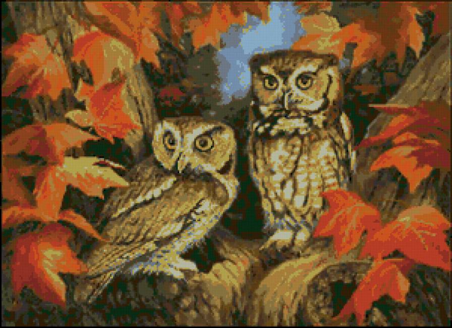 Серия "Птицы. Совы" - совы, пейзаж, птицы, филины, осень - предпросмотр