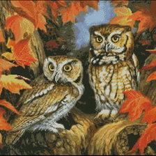 Схема вышивки «Серия "Птицы. Совы"»