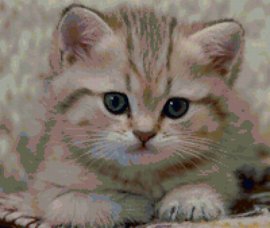 котенок - милашка - предпросмотр