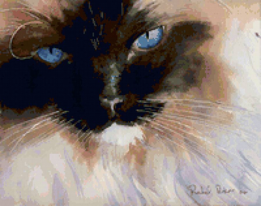 Сиамская кошка - сиамский, кот - предпросмотр