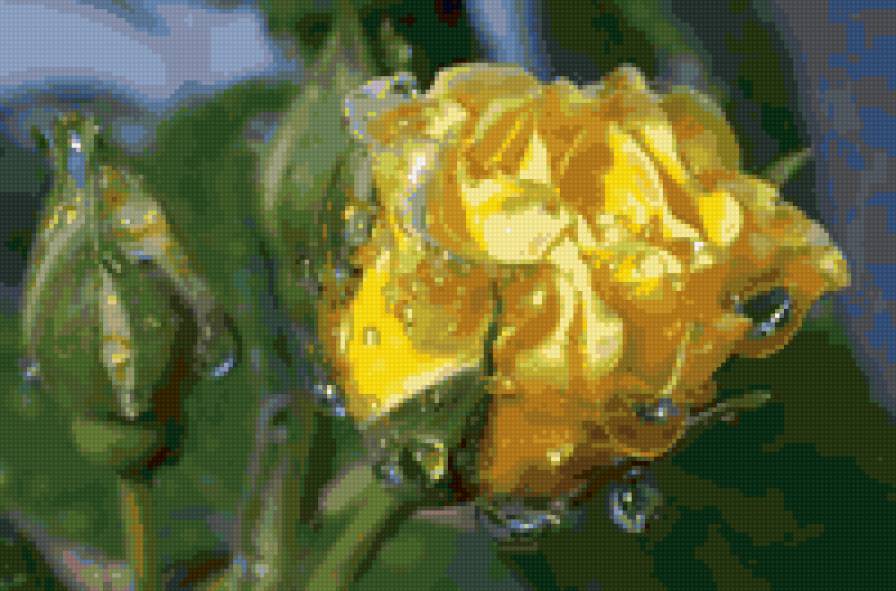 №93849 - предпросмотр