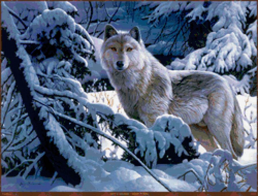 Волк - живопись, пейзаж, волк, животные - предпросмотр