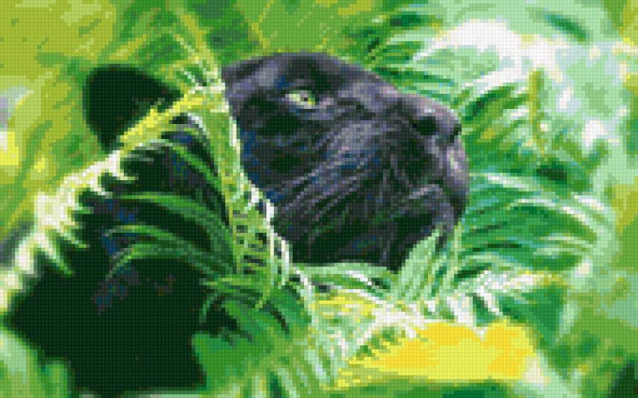 пантера - кошки - предпросмотр