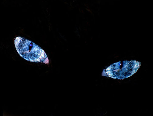 №94260 - оригинал