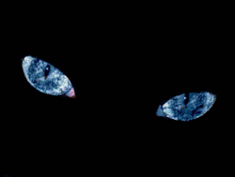 №94260 - предпросмотр