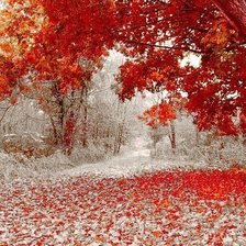 Оригинал схемы вышивки «№94293»