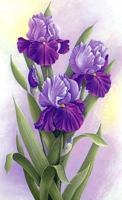 Серия "Цветы" - цветы - оригинал