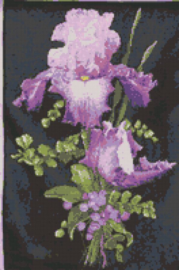 ирисы - букет, цветы - предпросмотр