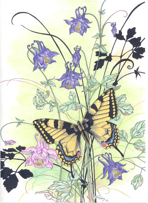 Бабочка и цветы - цветы, открытка, бабочка - оригинал