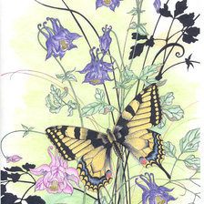 Оригинал схемы вышивки «Бабочка и цветы» (№94414)