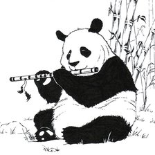 Панда музыкант