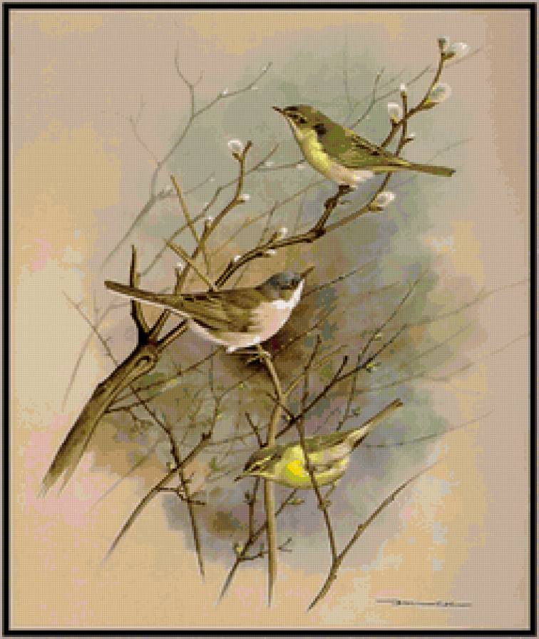 весна - птицы - предпросмотр