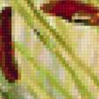 Предпросмотр схемы вышивки «серия "яркие краски"» (№94647)