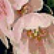 Предпросмотр схемы вышивки «Тюльпаны» (№94652)